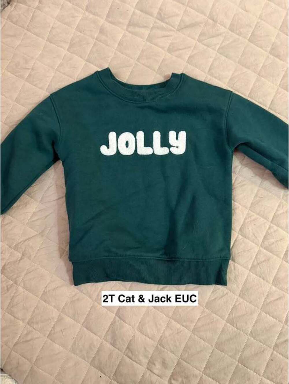 2T Cat & Jack Jolly Pullover Crewneck